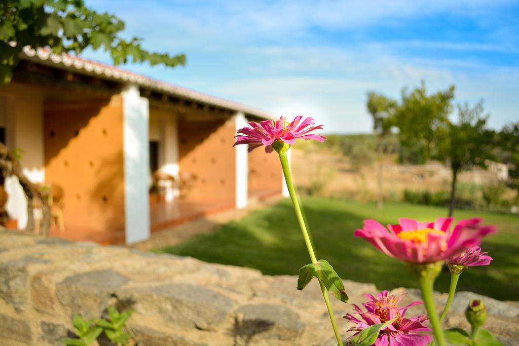 Melrinitas - Turismo Rural Serpa Ngoại thất bức ảnh